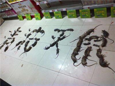 环保灭鼠