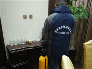 案例展示